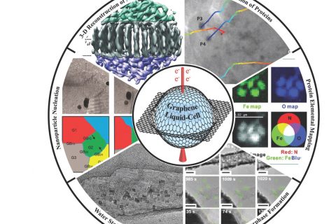 small methods：石墨烯液体池电子显微学研究进展：工作原理、机遇与挑战