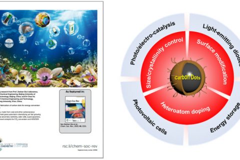 西交大胡超、北化邱介山：揭示碳点材料在能量存储与转化方面的应用潜质